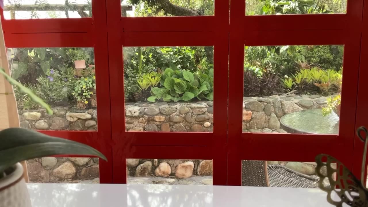 #sense Day 2 [30-Day Dance with 30-Seconds]