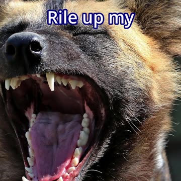 (clip from the song) Maniac #punkmetal