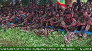 Gabaasa Tarkaanfii ONM-ABO Sadaasa 23-2025 itti dhiyaadhaa!