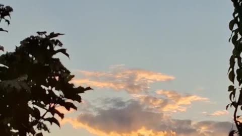 A Quiet Moment of Summer Magic