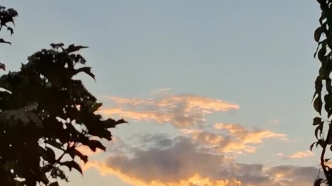 A Quiet Moment of Summer Magic