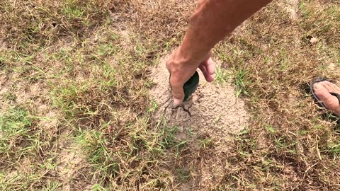 “Silent Power – No More Moles!”