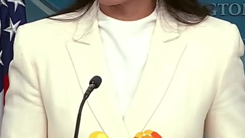 Tulsi Gabbard's Bold Response to Reporter on Obama's Legal Troubles!
