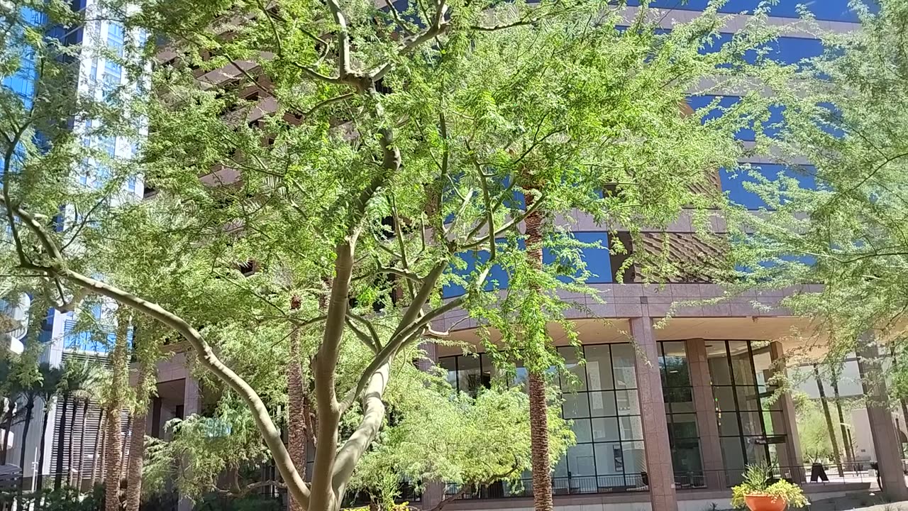 WHY EYE FLY LOW - Sept 13 2025 -