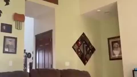 The jump went EXACTLY as planned! 😼