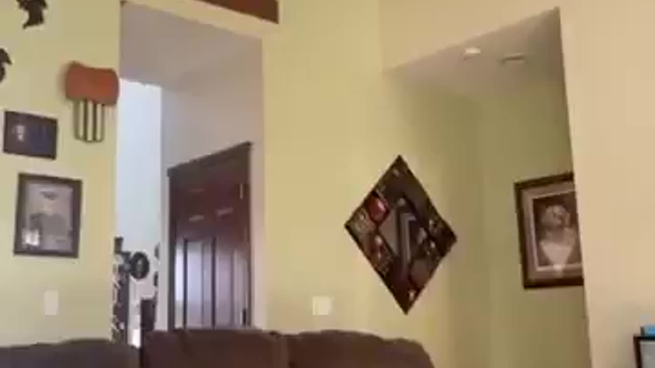 The jump went EXACTLY as planned! 😼