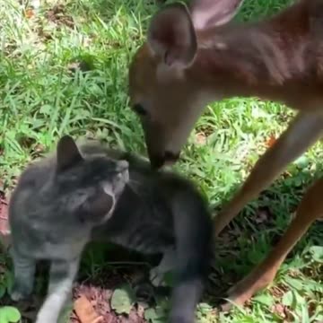 Making friends.. 😊