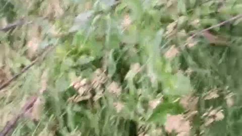 Partially Mummified Russian Soldier Found Hiding Near Sudza(For At Least 8 Months)
