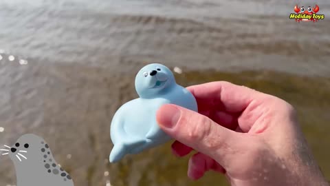 Washing Sea Fish Toys in Very Clean Lake Water