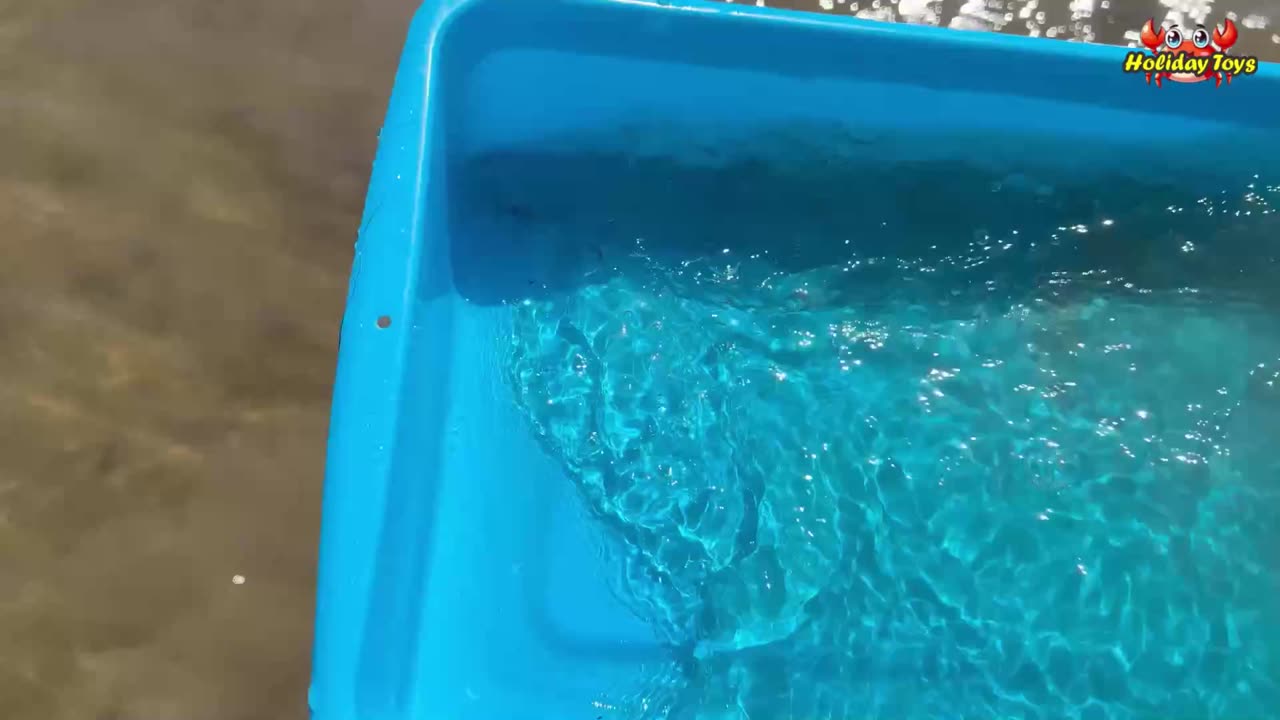 Wrapping Squid in Wet Soil to be Grilled