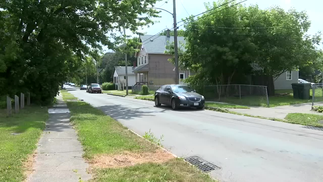 Man describes face-to-face encounter with mysterious large cat in New York: It said 'rawr'
