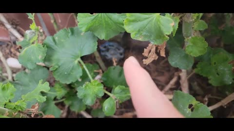 @LareesieAlice What You Need Is A Man Like Me To Save You 😏 (Jan 20, 2024)