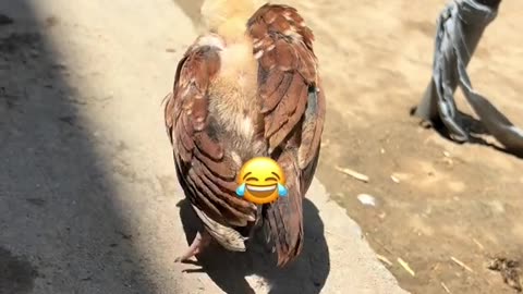 Pushpa