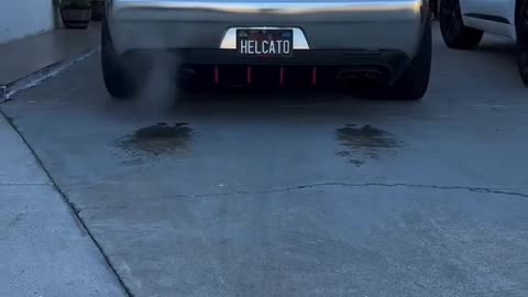 Dot Challenger