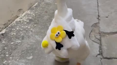 FUNNY ANIMALS 😂2 CUTE PETS 🤣