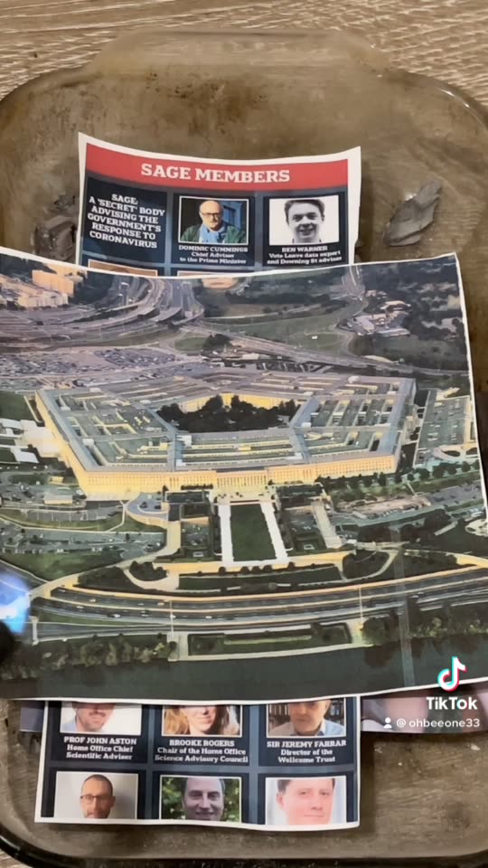 Tim Rifat TikTok Videos