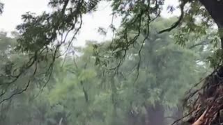 13 bodies have been recovered from floodwaters at Camp Mystic in Kerrville, Texas