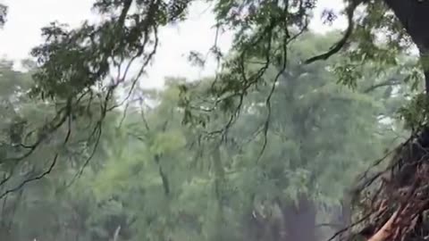 13 bodies have been recovered from floodwaters at Camp Mystic in Kerrville, Texas
