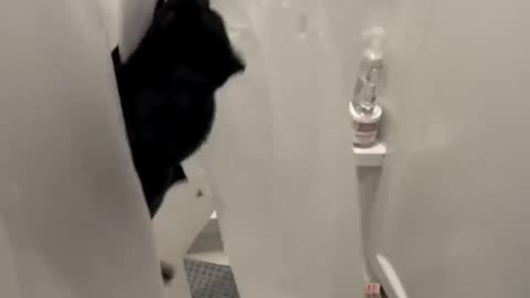 😂🐱 Meowley Cyrus Steals The Show With This Hilarious Move! | FunFM