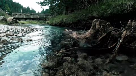 Wooden Bridge Over Clear Stream