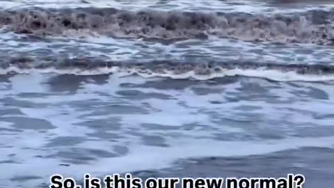 🚨🇺🇸 The Black Waves of Los Angeles ‼️