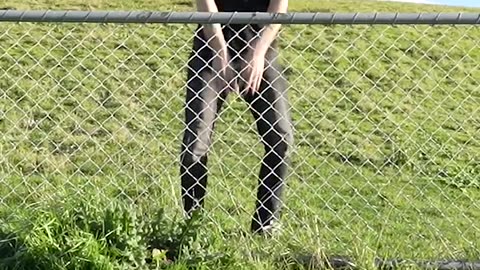 How Animals Get Over a Fence (Funny)