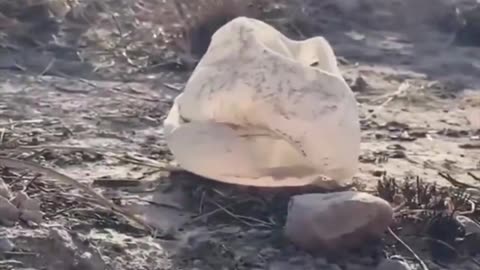 Ciclista graba su desesperación en medio de balacera en México