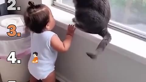 Ranking best cats speaking moments!