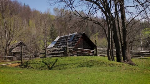 At World s End_ A Large Family s Thriving Life in the Mountain Wilderness