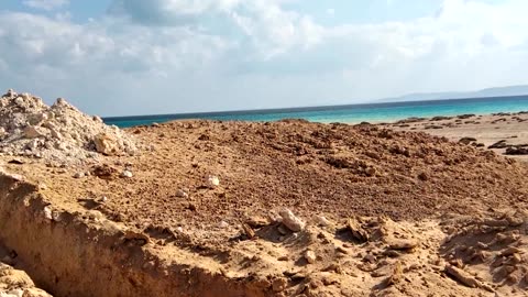 Egypt’s tourism push puts Red Sea beach at risk, say activists