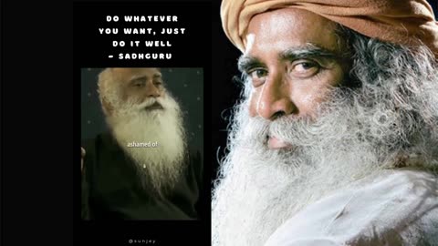 Do whatever you want to do just do it well Sadhguru
