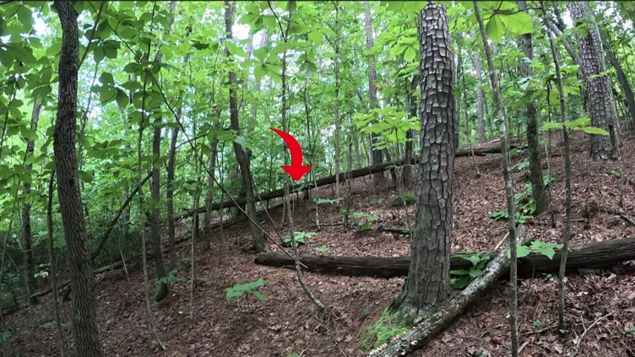 Can this retard make it to the tree before he touches lava Day: 5