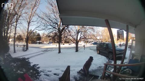 Icy Obstacles on the Way to Feed the Squirrels