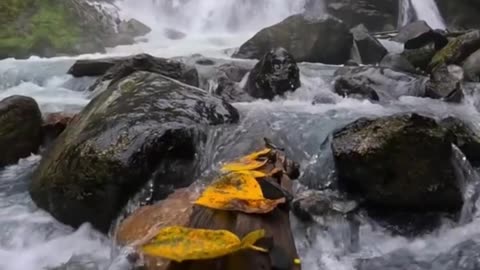 😊 173 EL CAMBIO QUE BUSCAS EMPIEZA DENTRO DE TI 😊