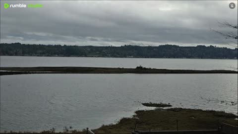 Rainy and windy weather