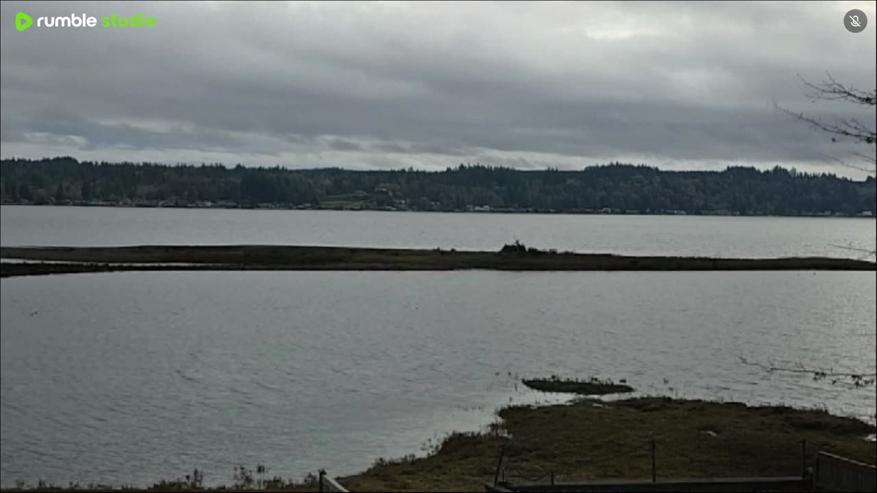 Rainy and windy weather