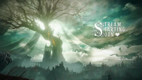 ELDEN RING Shadow of the Erdtree DLC First Playthrough - Part 17 - 12