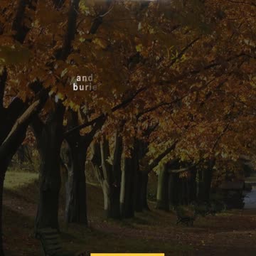 When the Sun is Folded Up… The End Begins | Surah At-Takweer 1–8