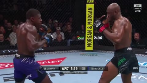 Brutal Knockouts & Fierce Combos – Boxing Highlights You Must See! 🥊🔥