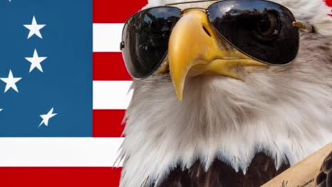 Patriot Mode: ON