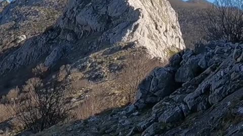 Cat and woman are climbing a mountain