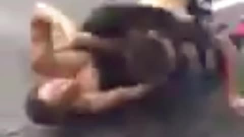 😱🤯 Wrestlers Go Real! | FCN
