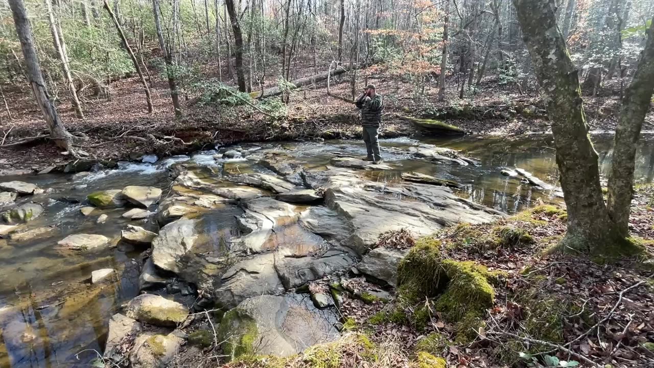 Woods walk, knife talk.