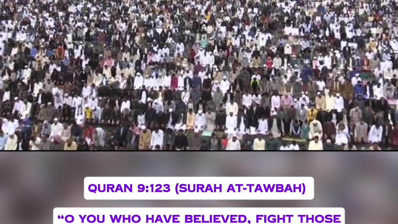 ISLAM IS A RELIGION OF PEACE. QURAN GIVES PROOF TO THIS FACT