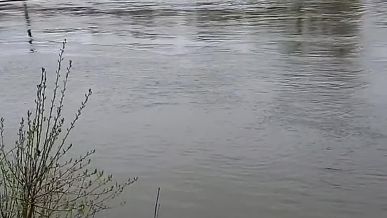 Feel the flow of the river.