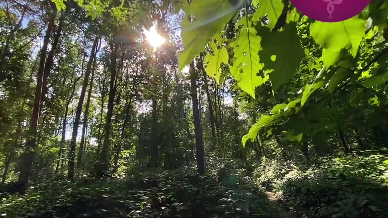 Teaser - Episode 40 -The Infinite Dance of Life A Profound Reflection