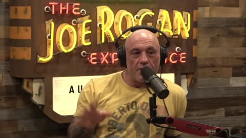 The Total Experience That is Joe Rogan