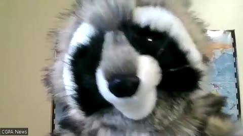 Any given Sunday" in an Analogy of Bonus structure in NFL... Very Insightful.