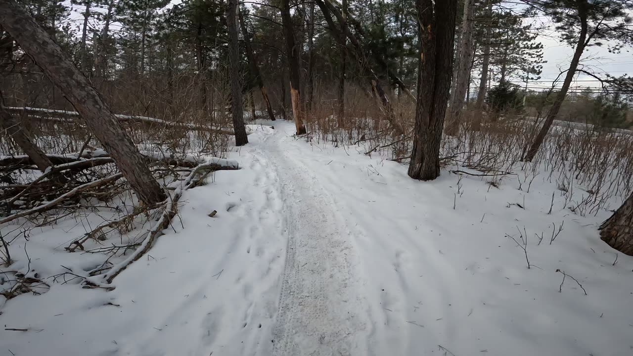 ❄️2025⛷️Winter Season ⛄Hiking Bell Corners Ncc 24 Trails Part 2 in Ottawa 🍁 Canada ❄️⛷️⛄