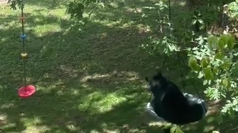 Mama Takes the Swing